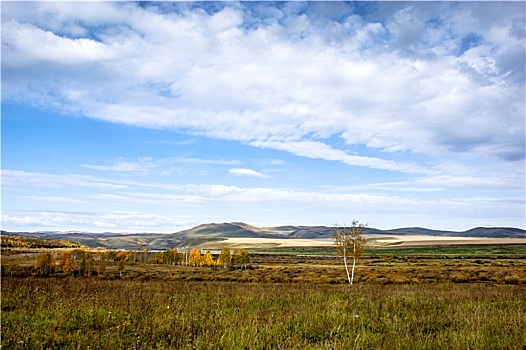 大兴安岭林间公路雪,乡野,树林,农场,黑龙江,东北方,中国,亚洲