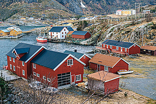 俯拍,房子,瑞恩,罗弗敦群岛,挪威