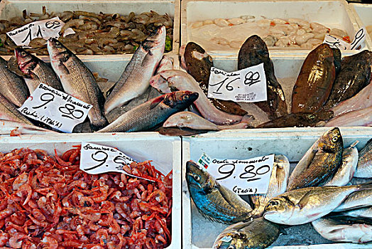 特写,鱼肉,鱼,鱼市,威尼斯,威尼托,意大利,欧洲