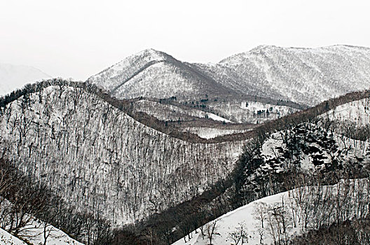 日本,北海道,山,冬天