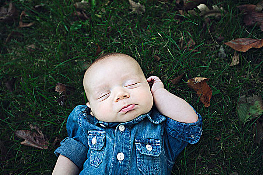 男婴,穿,牛仔衫,躺着,秋叶,遮盖,草,闭眼
