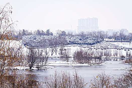 雪景