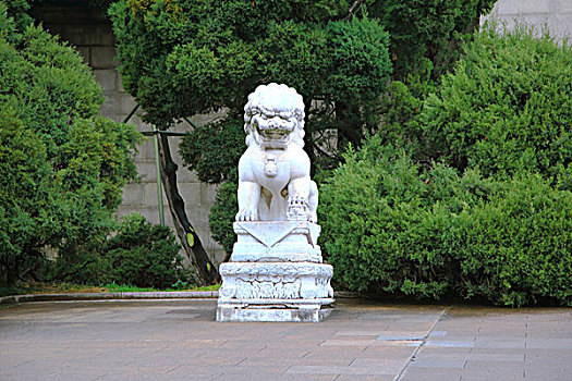 南京中山陵的石狮子