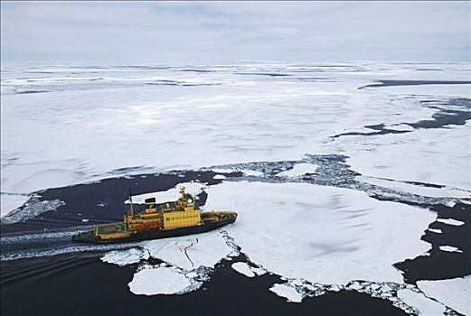 俄罗斯,破冰船,移动,冰,南极
