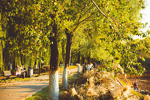 北京昌平白浮厅公园秋季景象
