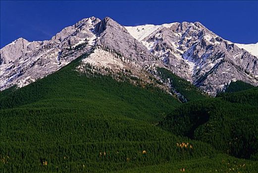 卡纳纳斯基斯谷,落基山脉,艾伯塔省,加拿大