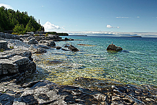 翠绿色,水,乔治亚湾,国家公园,加拿大