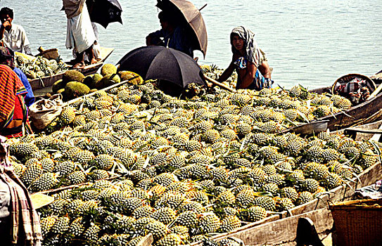 菠萝,木菠萝,运输,船,市场,出售,孟加拉,普通,有用