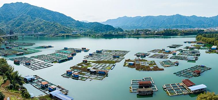 消防泵
