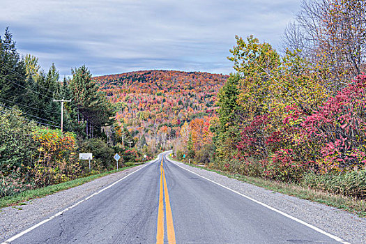 加拿大,魁北克,东方镇,乡间小路,秋色,大幅,尺寸