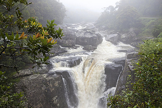 风景,瀑布,雨林,国家公园,马达加斯加,非洲