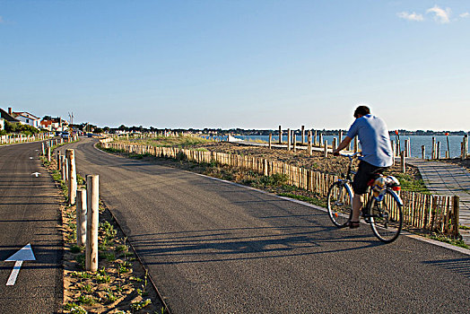 法国,男人,骑自行车,自行车道,海洋