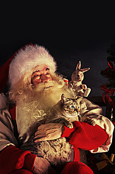 圣诞老人,猫,在家,复古,照片