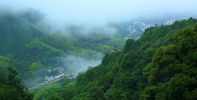 浙江,杭州,临安,大明山,雨,云雾,氤氲,流水,小溪