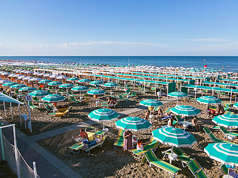 排,遮阳伞,海滩,艾米利亚-罗马涅大区,区域,意大利,欧洲