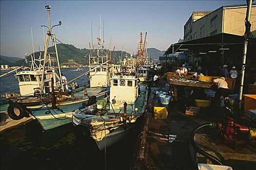 渔船,停泊,港口,日本