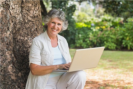成年,女人,笔记本电脑,坐在树上,树干