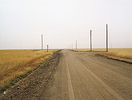 泥土,卡车,地平线,空,金色,草,草原,内布拉斯加州,美国
