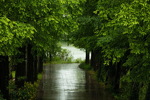 雨水季节美景图片图片