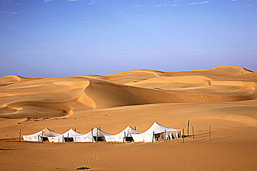 塞内加尔,沙漠,露营,沙丘