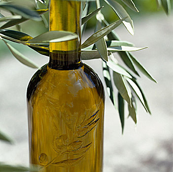 瓶子,橄榄油,橄榄枝