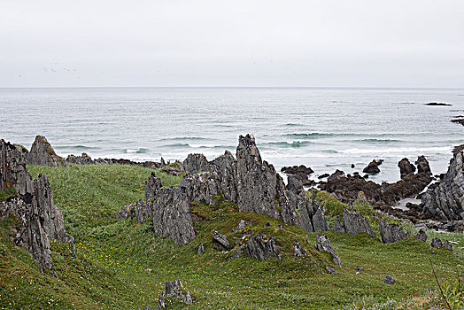 悬崖,北冰洋,风景,挪威北部