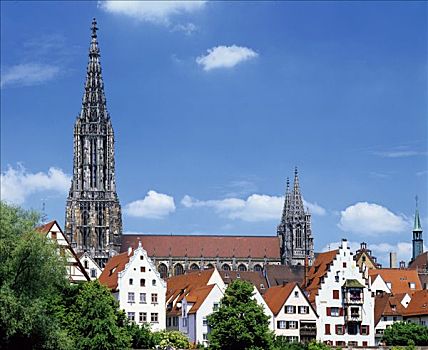 哥特式,大教堂,特征,最高,教堂,尖顶,乌尔姆,巴登符腾堡,德国,欧洲
