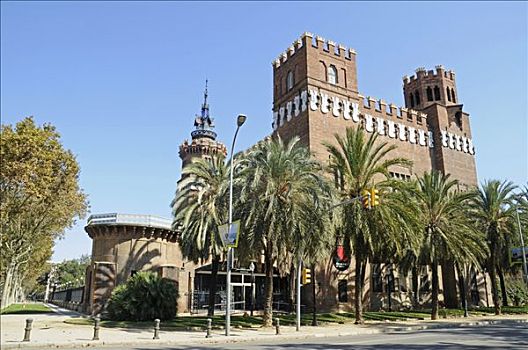 龙,城堡,三个,动物,博物馆,城堡公园,棕榈树,巴塞罗那,加泰罗尼亚,西班牙,欧洲