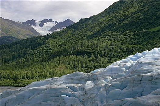 出口,冰河,靠近,肯奈半岛,阿拉斯加,美国