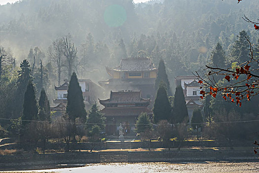 树,蓝,背景,池塘,倒影,烟,枯枝,寺庙,太阳,阳光,水,岸,淤泥,泥潭,村庄,山岗