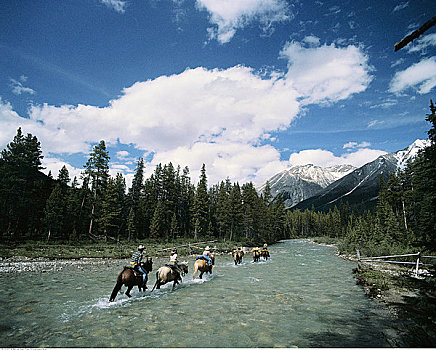 人,骑马,班芙,艾伯塔省,加拿大