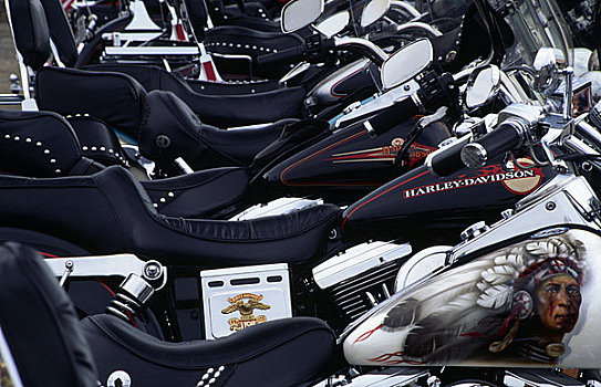 哈雷摩托,摩托车,展示室