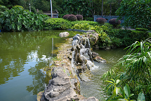 羊城广州天河公园夏天美景