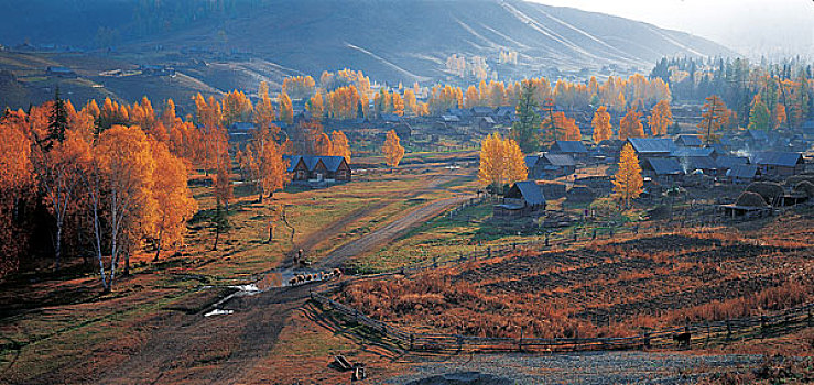 新疆哈巴河县
