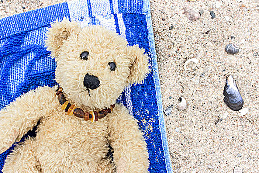 泰迪熊,卧,沙滩巾