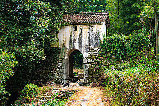 门,道路