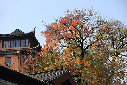 南京古鸡鸣寺景观