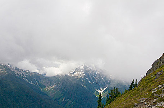 美国,华盛顿,北瀑布国家公园,铜,山脊,顶峰,雾,云,雾气,山景,融化,冰河,小路,左边,夏天