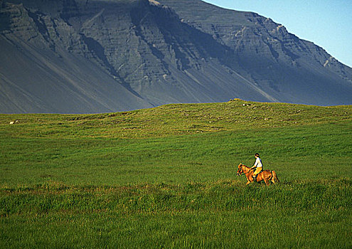 冰岛,骑手,草,高原,山,背景