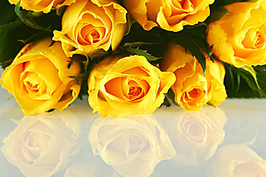 花束,黄色,玫瑰,反射