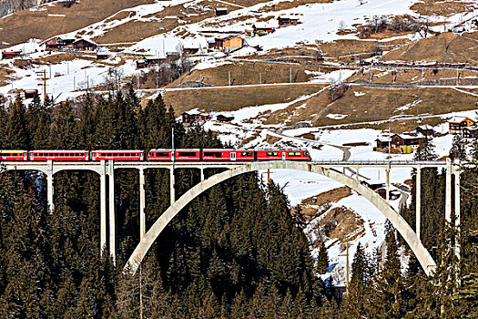 红色,列车,铁路,高架桥,围绕,木头,格劳宾登,瑞士,欧洲