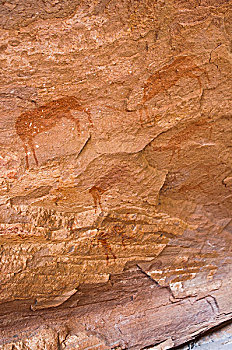 岩画,杜维尔方丹,世界遗产,达马拉兰,区域,纳米比亚,非洲