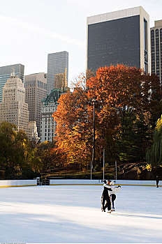 伴侣,滑冰,中央公园,纽约,美国