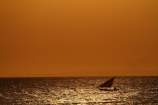帆船,日落,桑给巴尔岛