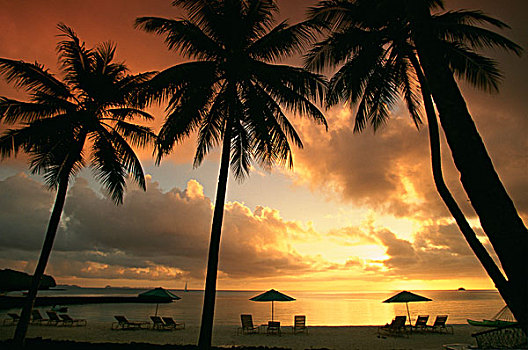 日落,帕劳,太平洋,胜地,密克罗尼西亚