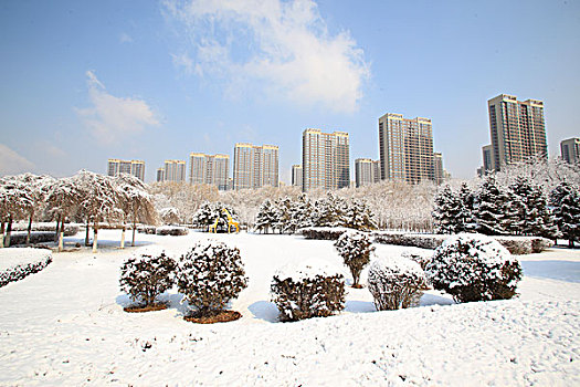 城市,公园,雪,楼房