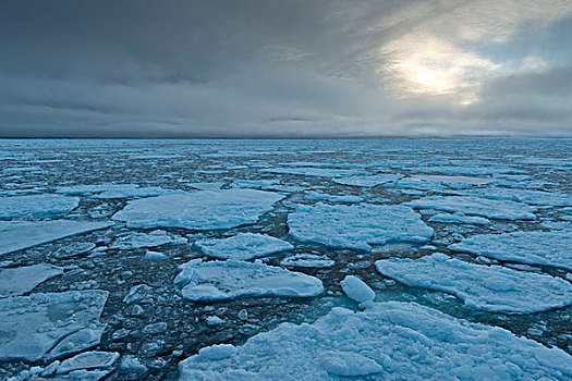 浮冰,边缘,北冰洋,斯匹次卑尔根岛,岛屿,斯瓦尔巴群岛,斯瓦尔巴特群岛,挪威,欧洲