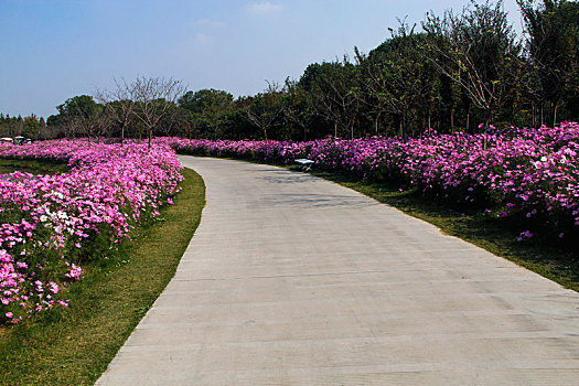 城市绿地,湿地公园