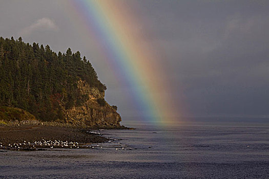 壮观,彩虹,上方,芬地湾,新布兰斯维克,加拿大