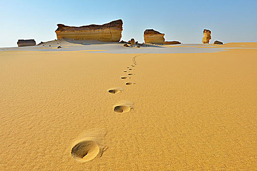脚印,风景,利比亚沙漠,撒哈拉沙漠,埃及,非洲